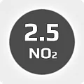 Диоксид азота 2.5